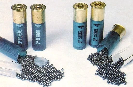lead vs steel shot 02 cartridges 550p jpg